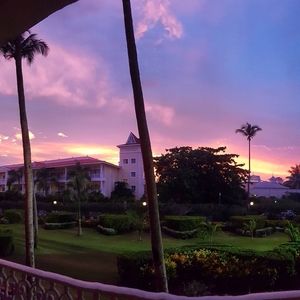 Meet your Posher, Ellen